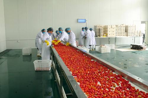 食品加工廠裝修主要事項(xiàng)